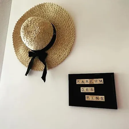 Parfum Des Pins Recemment Renove Apartment *